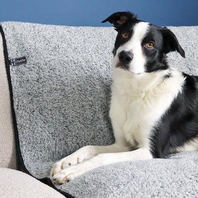 Petlife SofaCover & Blanket Soft Grey